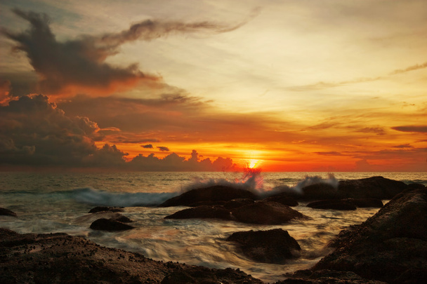 Tropical colorful sunset. - Zdjęcie, obraz