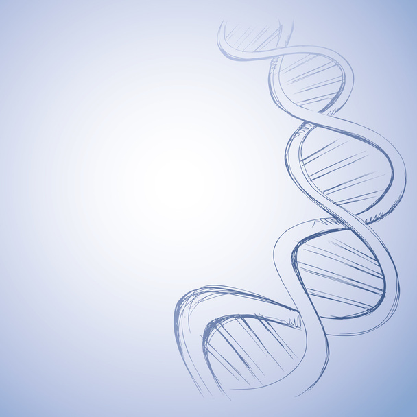 Boceto vectorial de ADN a mano alzada
 - Vector, imagen