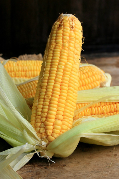 fresh corn - Foto, Imagen