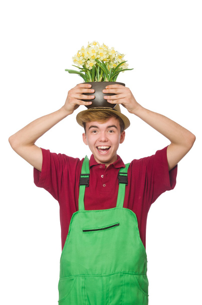 Jardinero joven con flores
 - Foto, imagen