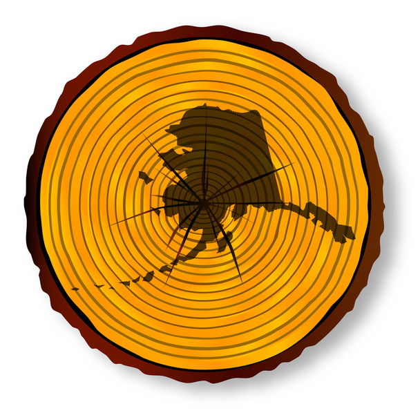 alaska-Karte auf Holz-Endabschnitt - Vektor, Bild