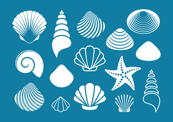 White sea shells and starfish - Διάνυσμα, εικόνα