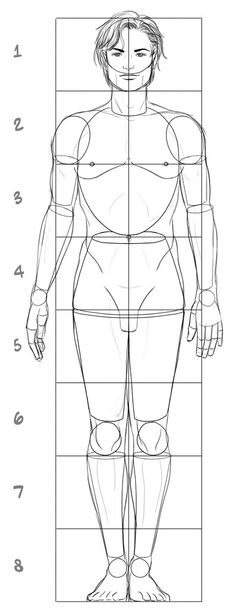 Corpo humano II
 - Foto, Imagem