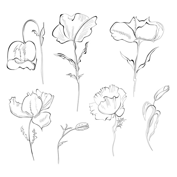 Set of flowers - Wektor, obraz