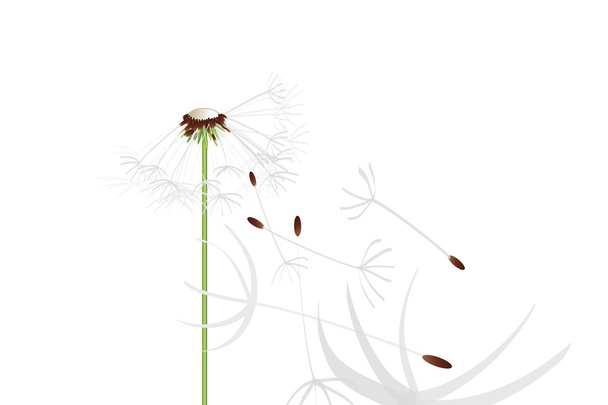 flying dandelion in the wind with perspective view - Vector, Image