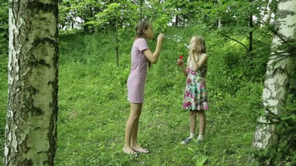 Chicas jóvenes soplando burbujas de jabón al aire libre
 - Metraje, vídeo