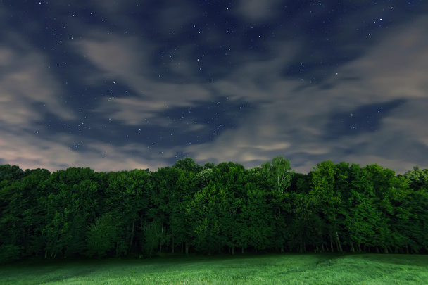 Noche estrellada. Nubes blancas, muchas estrellas, bosque verde. El borde del bosque. Hermoso cielo nocturno
. - Foto, Imagen