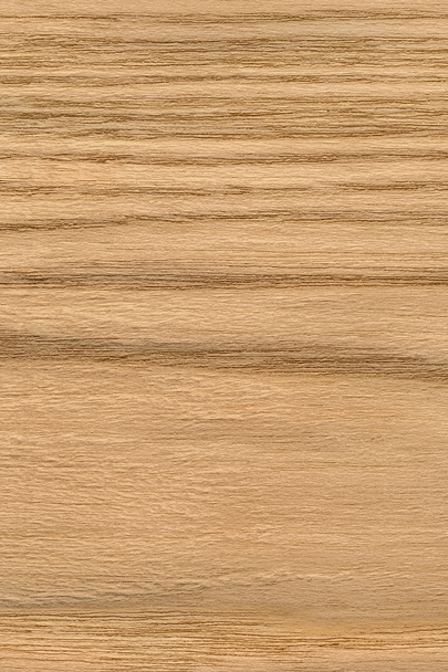 Natural Oak Wood Veneer Grunge Texture Sample - Photo, Image