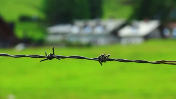 Barbed wire with field - Footage, Video