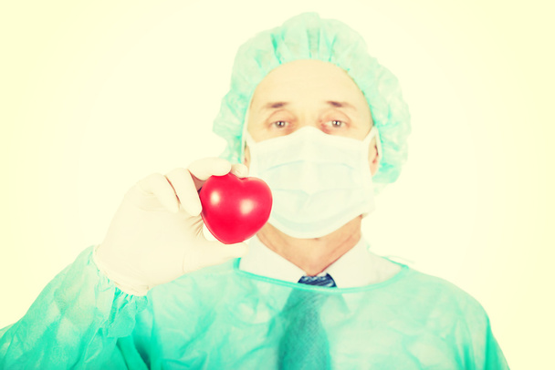 Médico masculino sosteniendo modelo de corazón
 - Foto, imagen