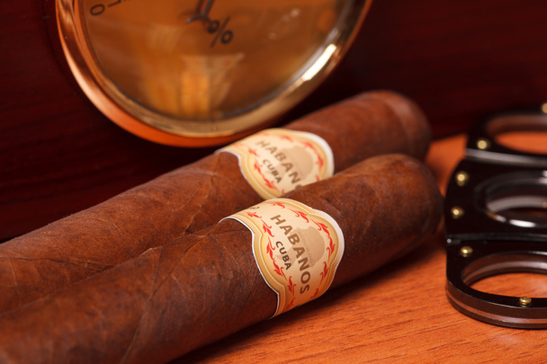 Cuban cigar - Photo, Image