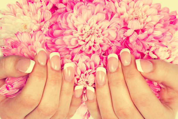 Mãos femininas com manicure francês perfeito
 - Foto, Imagem