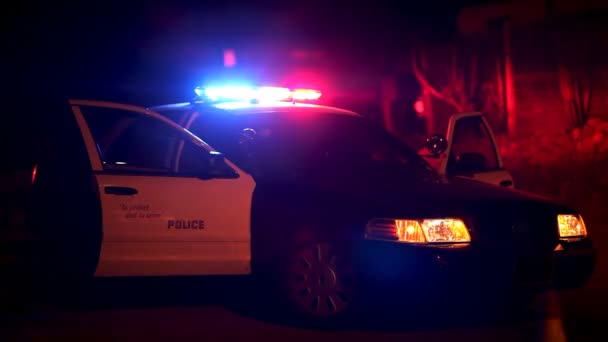 Auto della polizia con luci lampeggianti a Roadblock
 - Filmati, video
