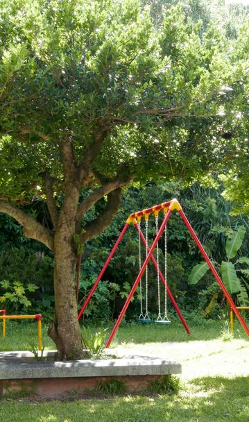 Колоритные качели в парке
 - Фото, изображение