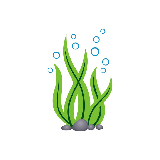 Plantilla de logotipo de algas marinas
 - Vector, imagen