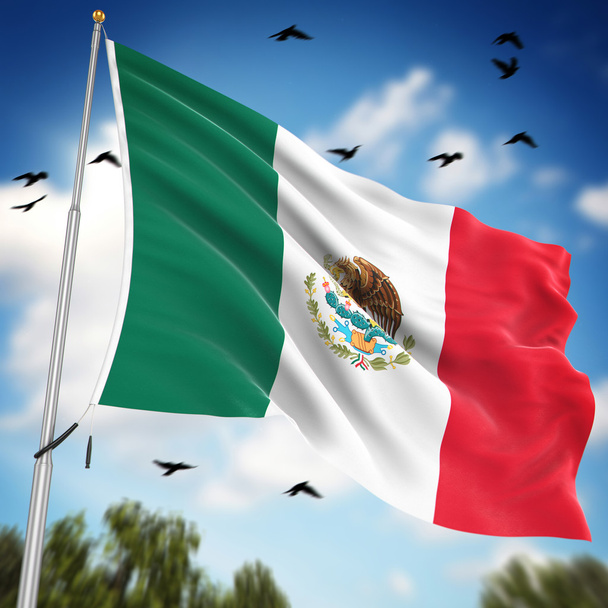 Flag of Mexico - Photo, Image