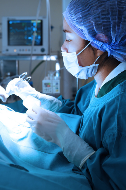 veterinarian surgery in operation room - Foto, Bild