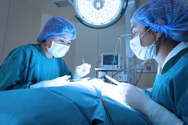 two veterinarian surgeons in operating room - Fotoğraf, Görsel