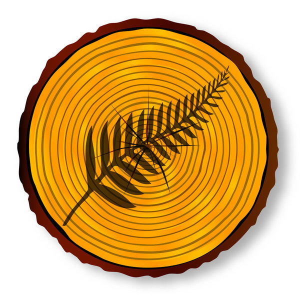 New Zealand Silver Fern On Timber Section - Διάνυσμα, εικόνα