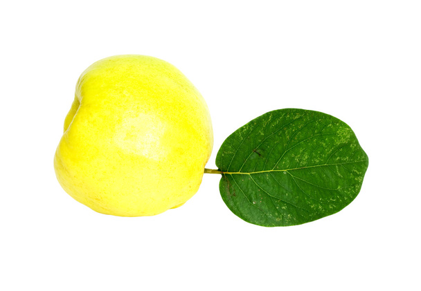 Object on white - food quince close up - Φωτογραφία, εικόνα