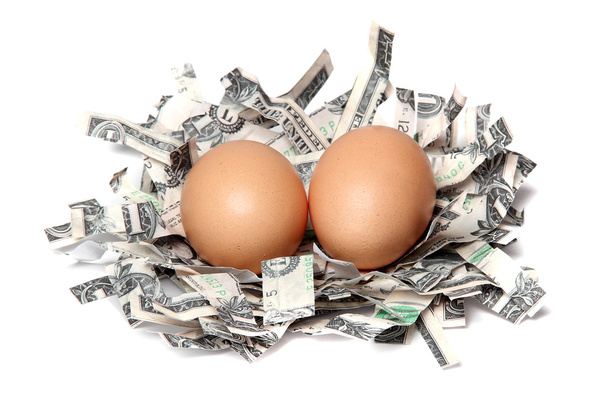nest gemaakt van geraspte dollars met bruin eieren - Foto, afbeelding