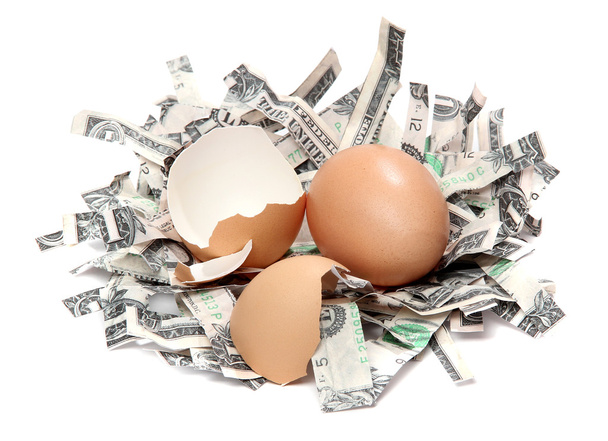 Pesä valmistettu silputtu dollarin seteleitä ja rikki munankuori
 - Valokuva, kuva