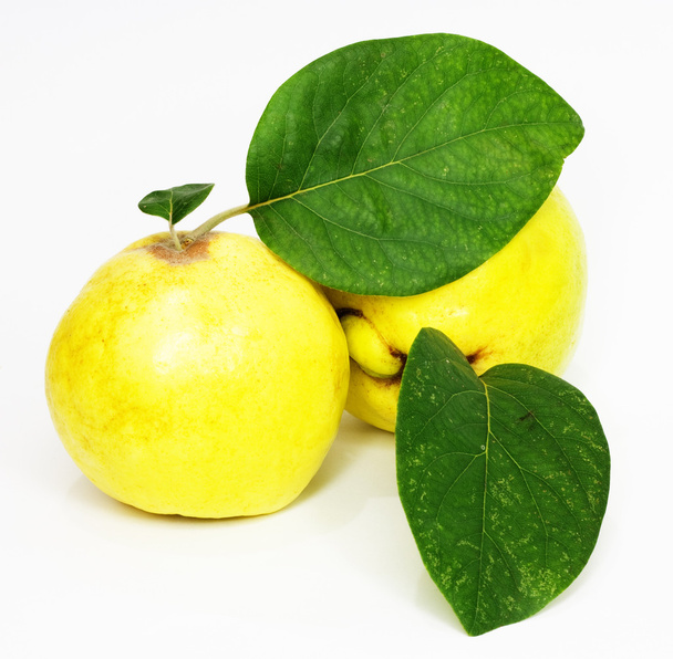 Quince on a white background - Foto, afbeelding