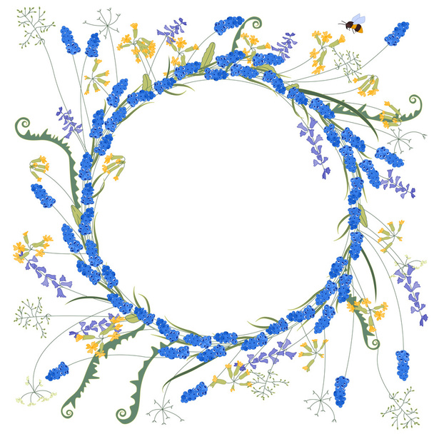 Λεπτομερείς περιγράμματος στεφάνι με λουλούδια muscari και primrose που απομονώνονται σε λευκό. - Διάνυσμα, εικόνα