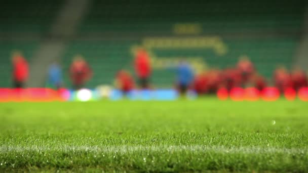 Fotbal pole trávy s kapkami deště s neaktivní tým tréninkový proces na pozadí - Záběry, video