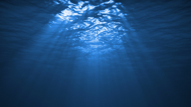 Víz alatti tükörképét az óceánban - Felvétel, videó