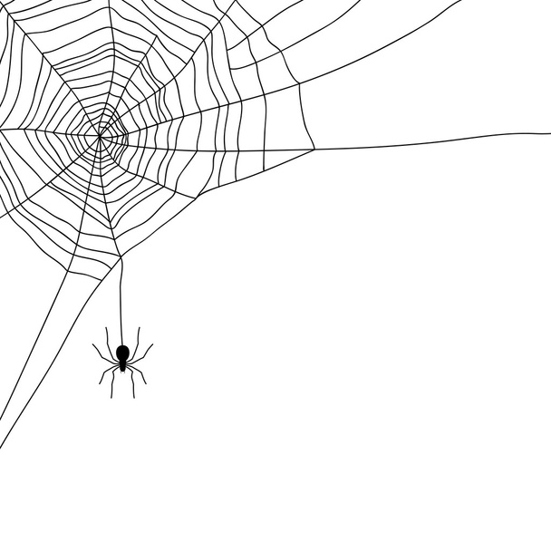 Spider and web isolated on white, vector - Vektör, Görsel