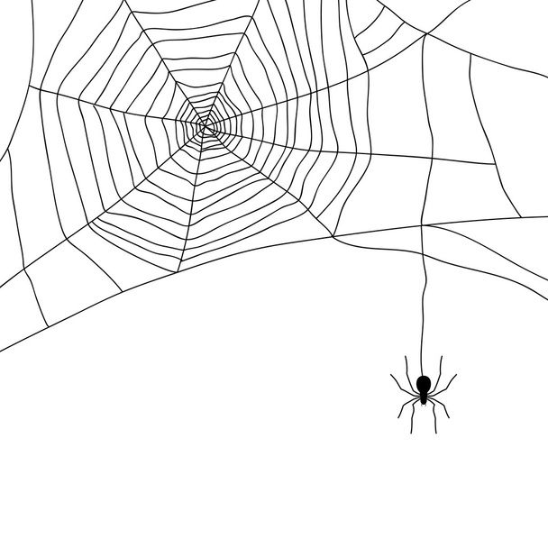 Spider and web isolated on white, vector - Vector, Image
