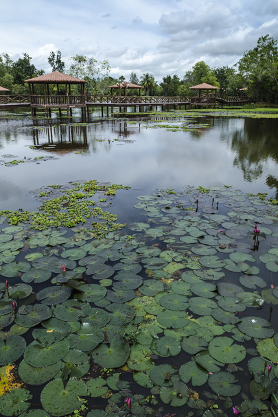 Taman Rekreasi Tasik Melati, Perlis, Malezya - - Fotoğraf, Görsel