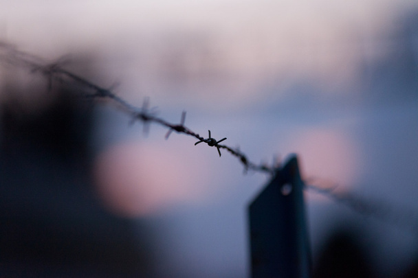Barbwire on a fence background - Foto, afbeelding
