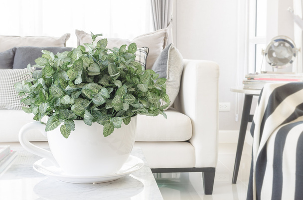 ciotola bianca di piante sul tavolo in soggiorno moderno
 - Foto, immagini
