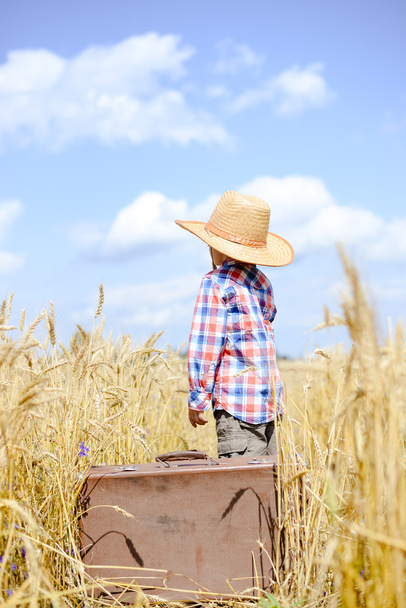Little boy wearing straw hat with suitcase in wheat field - Fotó, kép