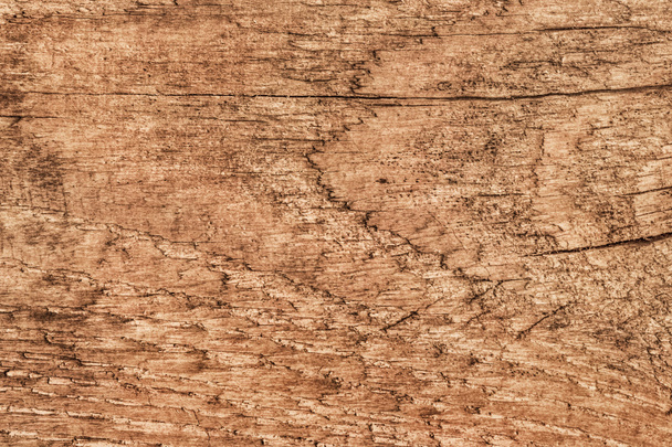 Old Pine Wood Plank Knotted Cracked Rough Treated Texture - Φωτογραφία, εικόνα