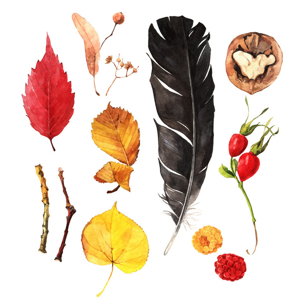 秋の宝物 - 写真・画像