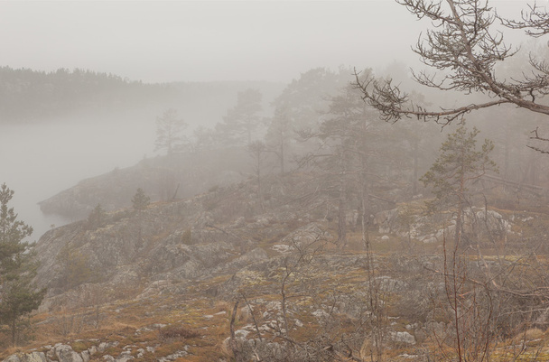 Fog on stony coast of lake.  spring landscape - Photo, Image