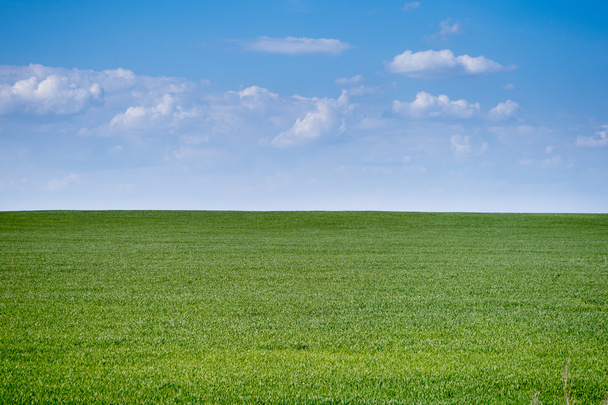 Kesällä yksinkertainen niitty maisema
  - Valokuva, kuva