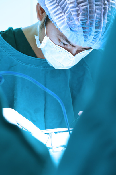 veterinarian surgery in operation room - Foto, Imagen