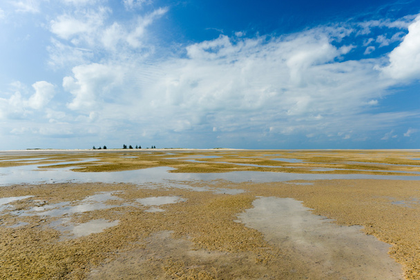 Остров Магарук - Мозамбик
 - Фото, изображение