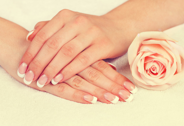Female hands with perfect french manicure - 写真・画像