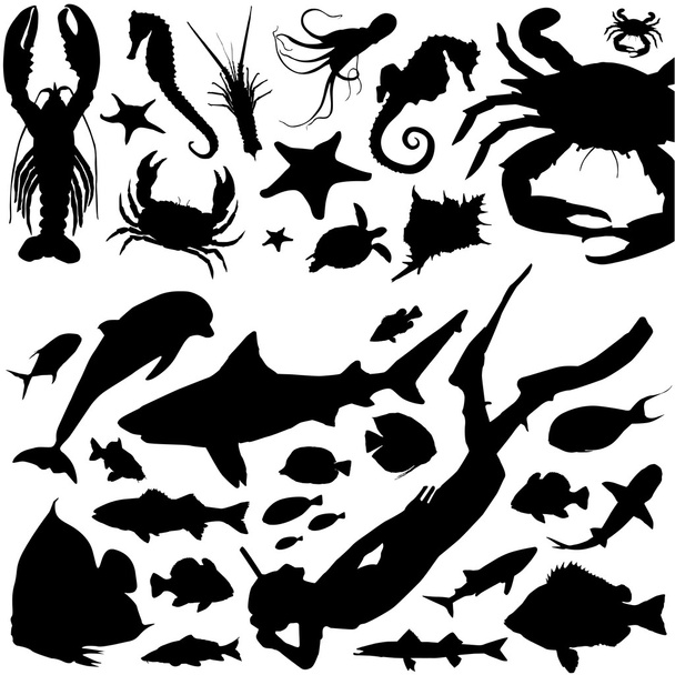 Морские животные и дайвинг
 - Вектор,изображение