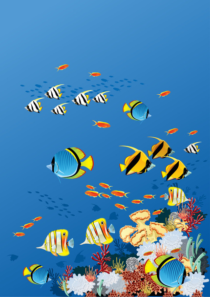 Coral _ fish
 - Vector, imagen