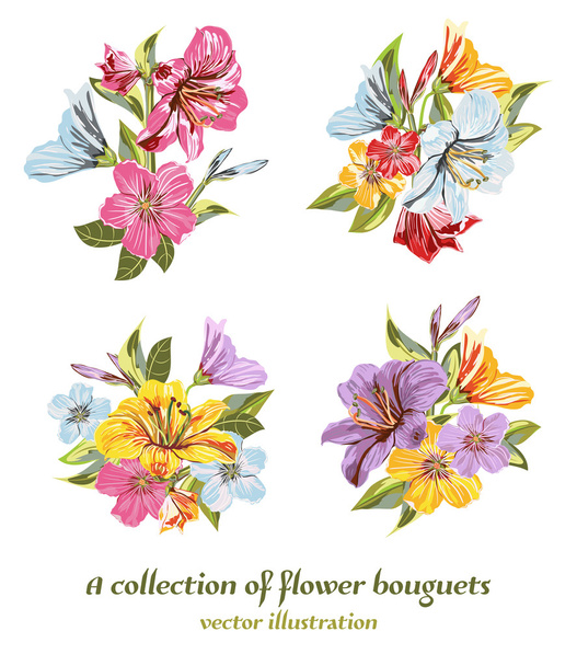collection of Floral, flower bouquets - Vektor, kép