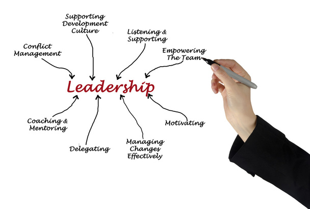 Diagrama de liderazgo
 - Foto, Imagen