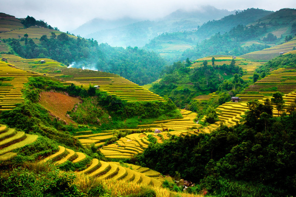 Campos de arroz em terraço de Mu Cang Chai, YenBai, Vietnã
 - Foto, Imagem