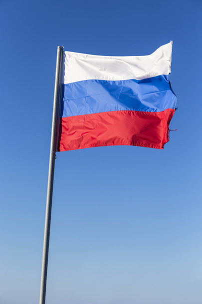 Russian flag - Photo, image