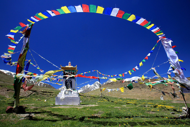 Tybetańskie buddyjskie flagi modlitewne i stupa na Dziki kwiat pole w - Zdjęcie, obraz
